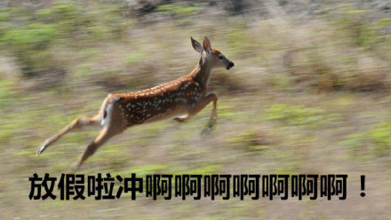 等待国庆专用的微信表情包合集下载