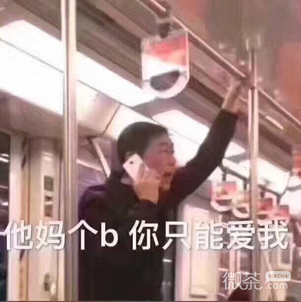 今日份的微信沙雕搞笑表情包下载