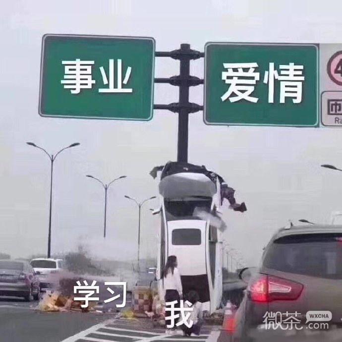 今日份的微信沙雕搞笑表情包下载