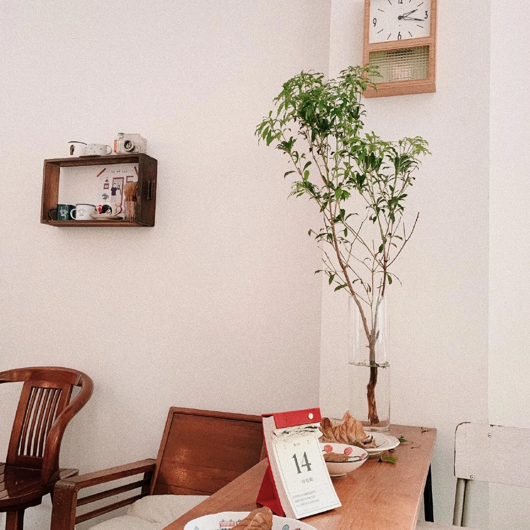 文艺森系微信朋友圈配图