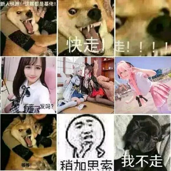 打住打住微信恶搞傻屌斗图表情包