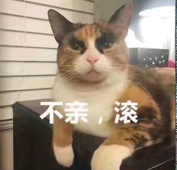 我接受不了微信恶搞傻屌斗图表情包