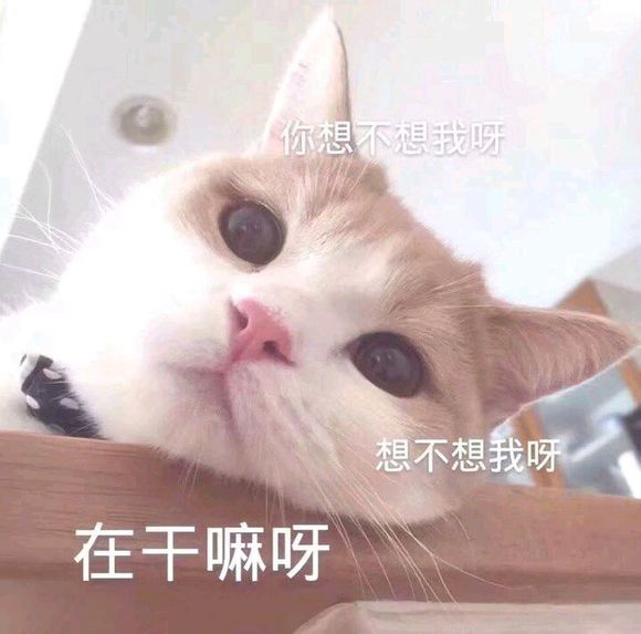 微信近期斗图恶搞表情包2019/9/27（二）