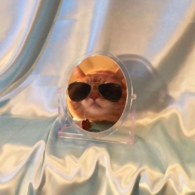 可爱搞怪的沙雕喵星人微信头像套图下载