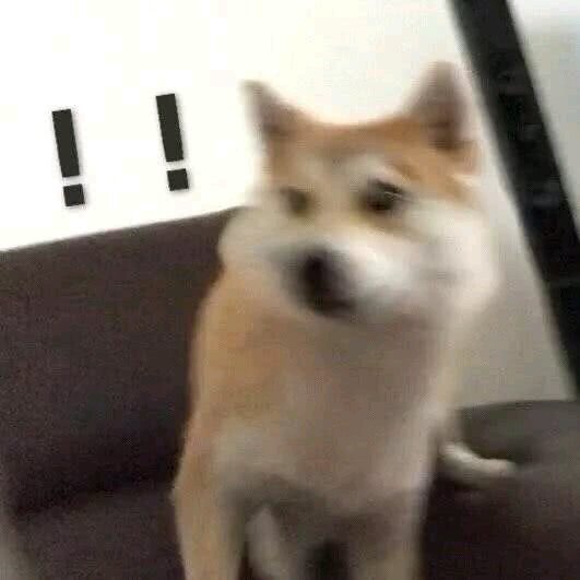 微信近期斗图恶搞表情包2019/9/27（二）