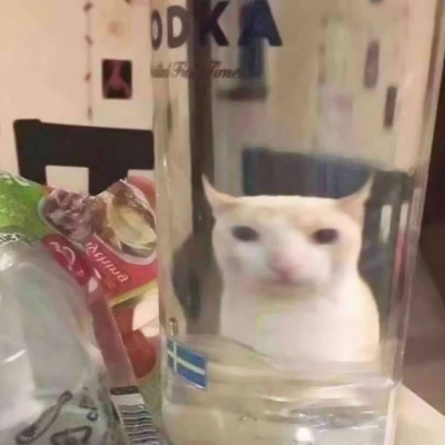 可爱搞怪的沙雕喵星人微信头像套图下载