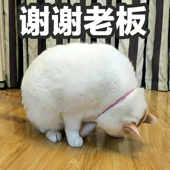 我接受不了微信恶搞傻屌斗图表情包