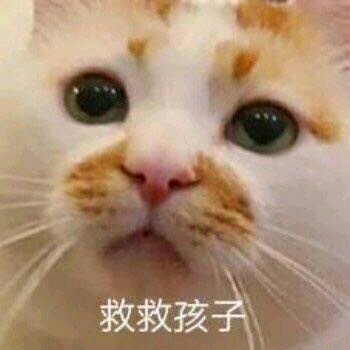 微信近期斗图恶搞表情包2019/9/27（二）