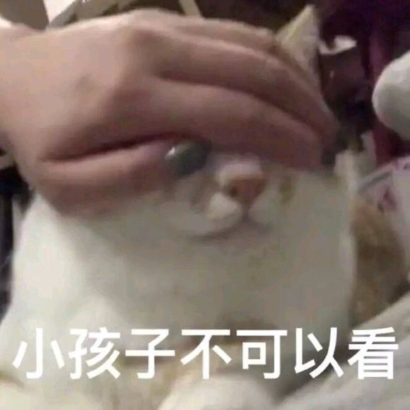 微信近期斗图恶搞表情包2019/9/27（二）