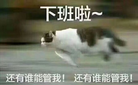 关于工作的一些微信表情包套图下载