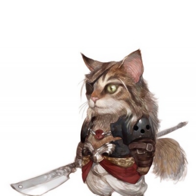 可爱萌萌哒的猫武士系列微信头像合集下载