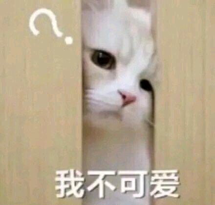 微信近期斗图恶搞表情包2019/9/27（二）