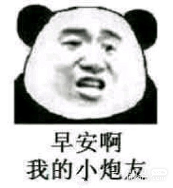 不，微信恶搞傻屌斗图表情包