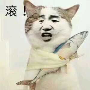 给我滚微信恶搞斗图表情包