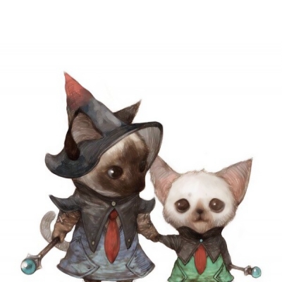 可爱萌萌哒的猫武士系列微信头像合集下载
