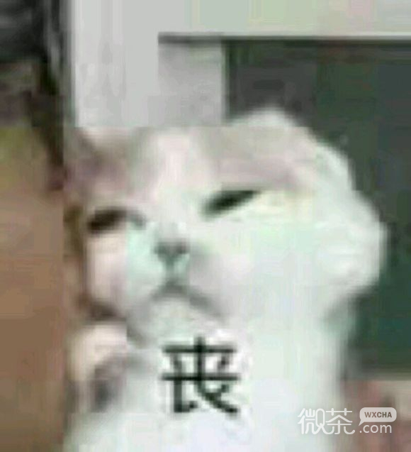 不，微信恶搞傻屌斗图表情包