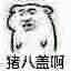 老实微信恶搞斗图表情包