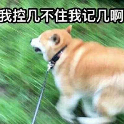 可爱沙雕风格的微信情侣头像合集下载