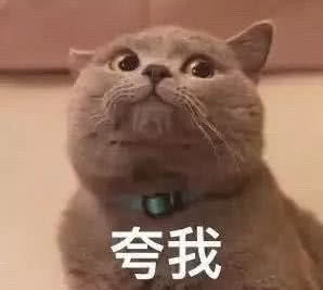 夸我微信恶搞傻屌斗图表情包