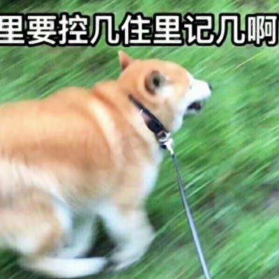 可爱沙雕风格的微信情侣头像合集下载