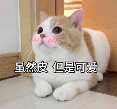 老实微信恶搞斗图表情包