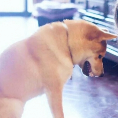 可爱沙雕风格的微信情侣头像合集下载