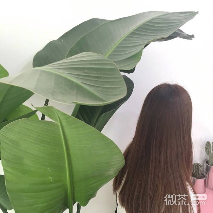 微信深沉佛系女头