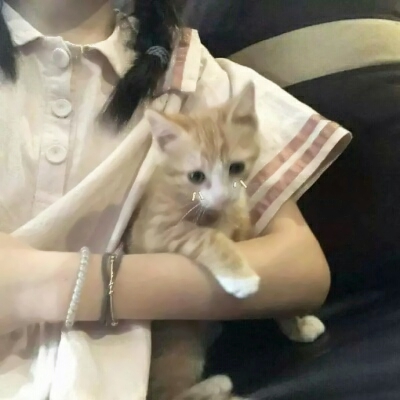 优质好看的微信小仙女头像合集下载