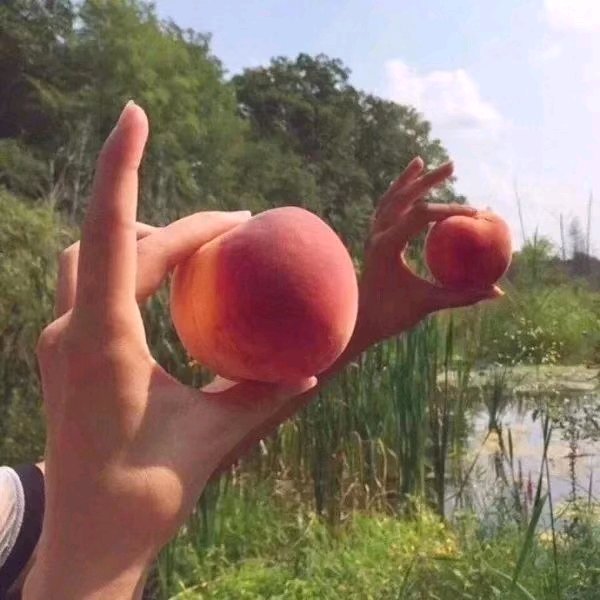 微信简洁文艺风景静物朋友圈配图