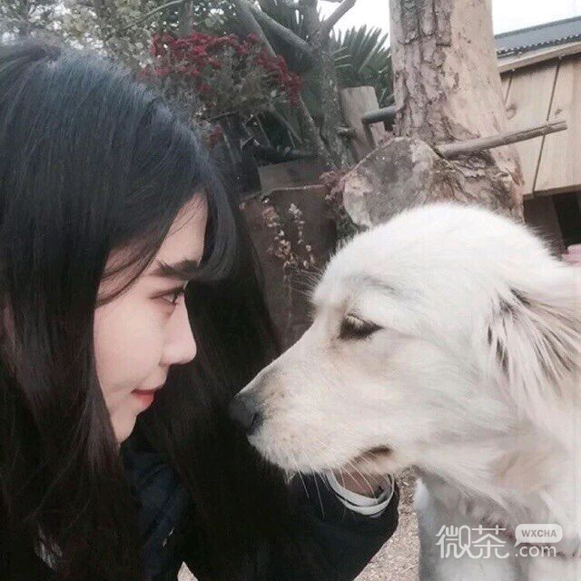 唯美清新微信女头