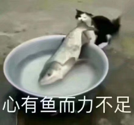 跑路失败微信恶搞斗图表情包