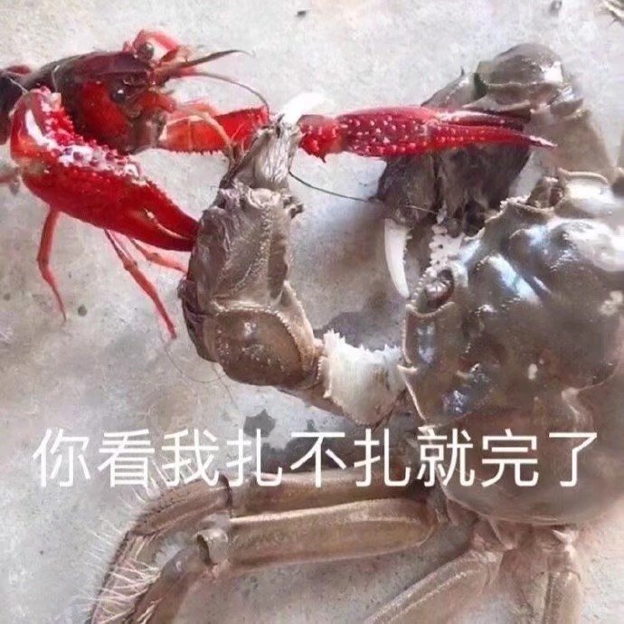 跑路失败微信恶搞斗图表情包