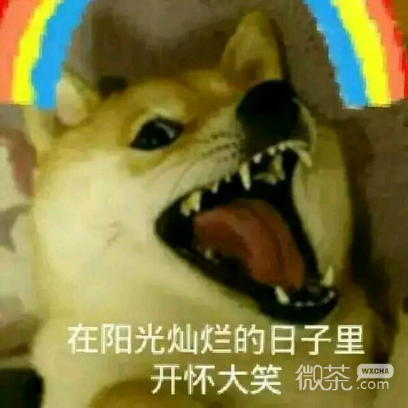 太真实了微信恶搞沙雕斗图表情包