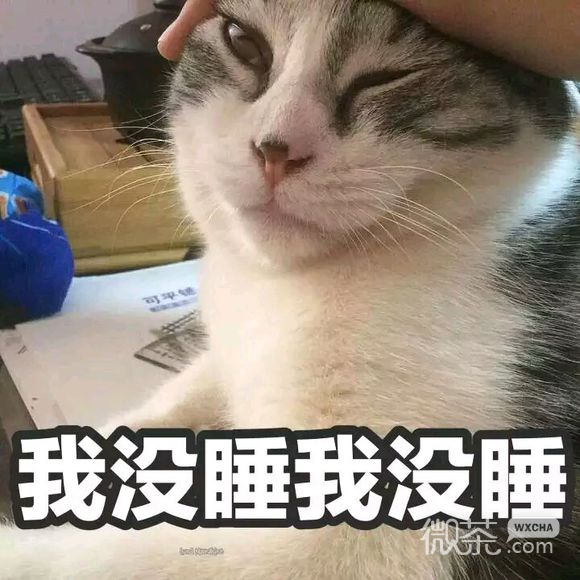 放屁微信恶搞斗图表情包