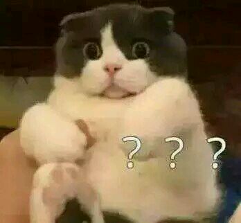 天啊微信恶搞沙雕群聊斗图表情包