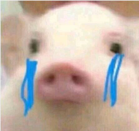 笑容勉强微信恶搞傻屌斗图表情包