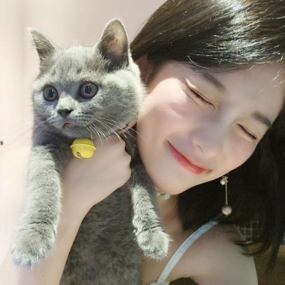 唯美冷酷成熟女头