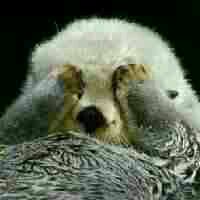 天啊微信恶搞沙雕群聊斗图表情包