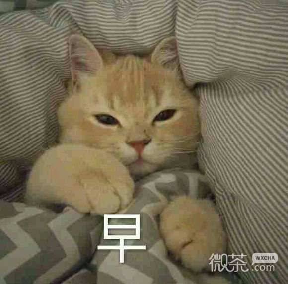 天啊微信恶搞沙雕群聊斗图表情包