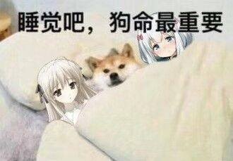 笑死微信恶搞傻屌斗图表情包