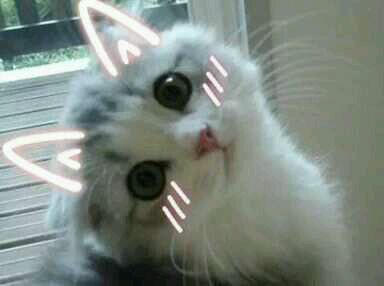 天啊微信恶搞沙雕群聊斗图表情包