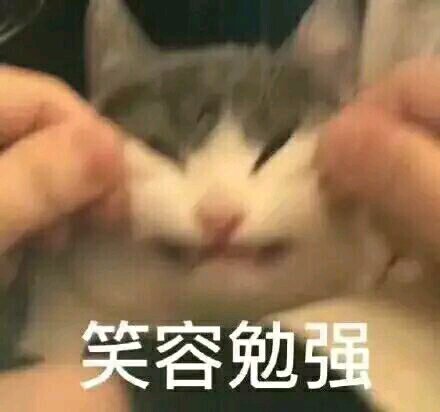 笑容勉强微信恶搞傻屌斗图表情包