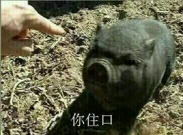 天啊微信恶搞沙雕群聊斗图表情包