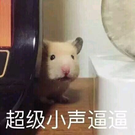 笑容勉强微信恶搞傻屌斗图表情包