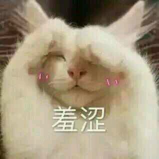 天啊微信恶搞沙雕群聊斗图表情包