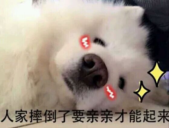 天啊微信恶搞沙雕群聊斗图表情包