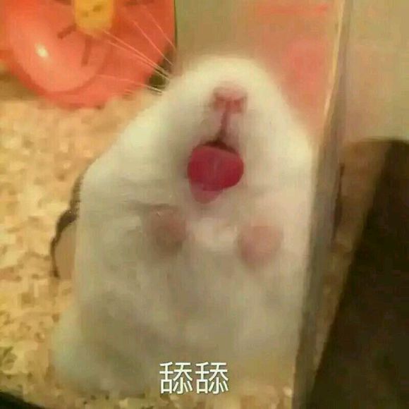 天啊微信恶搞沙雕群聊斗图表情包