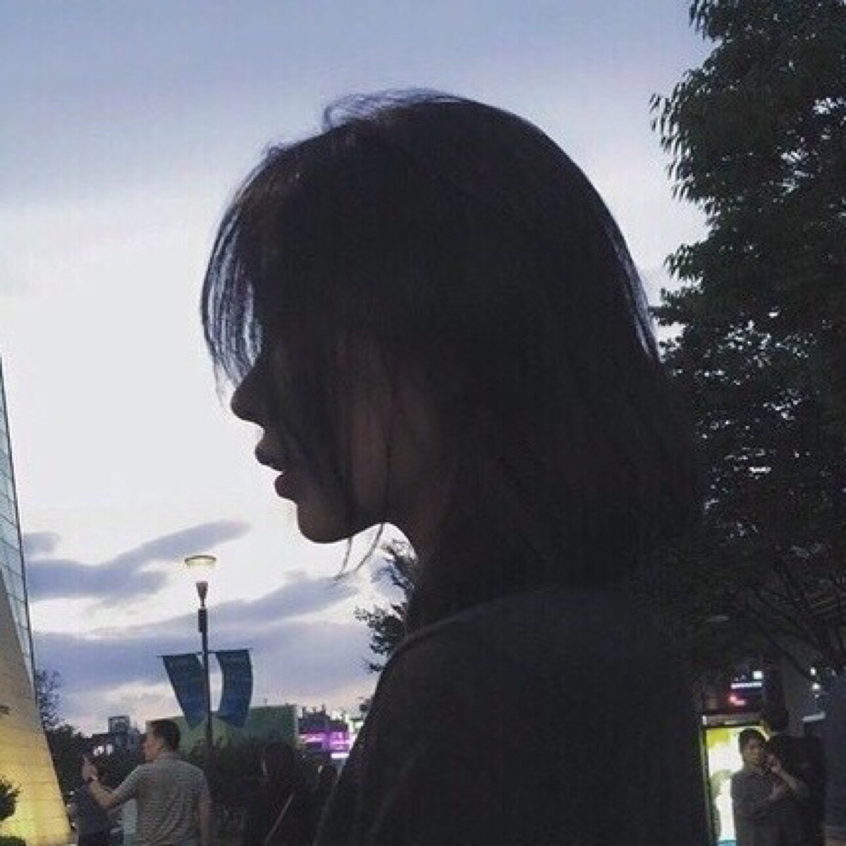 唯美冷酷成熟女头