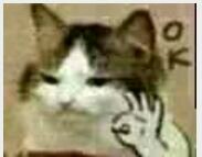 笑容勉强微信恶搞傻屌斗图表情包