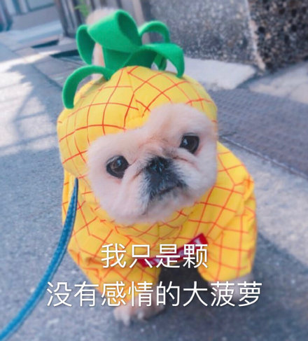 难搞哦微信恶搞傻屌斗图表情包